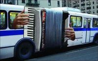 Bus accordéon
