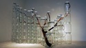 Nature emprisonnée