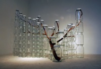 Nature emprisonnée