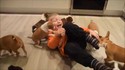 Happy puppies