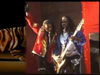 Metal indien