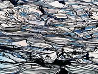 Rizières inondées en Chine