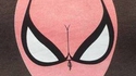 Il y a ceux qui voient Spiderman et puis il y a les autres