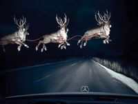 Vu sur la route