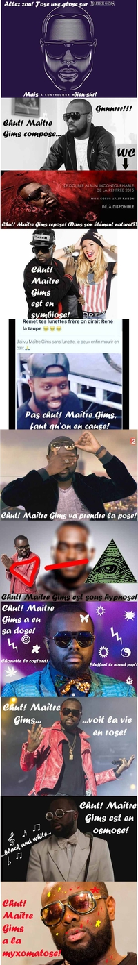 Me Gims, l'incontournable