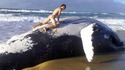 Finir la nuit avec une baleine