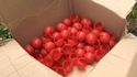 Ils sont enfin arrivés !