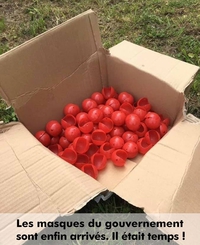 Ils sont enfin arrivés !