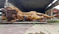 Le roi des sculptures en bois 