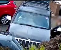 Nos amis les chiens...