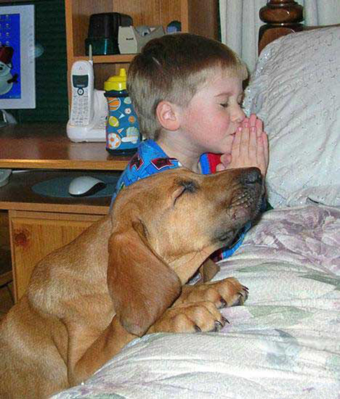 Un garçon et un chien font une prière.