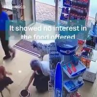 Dans une pharmacie à Istanbul 