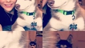 Jalousie