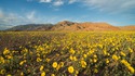 Pendant ce temps, dans la Death Valley...