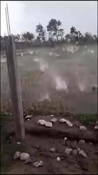 2020 veut vraiment notre mort