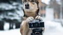 Attention, on ne bouge plus...
