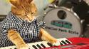 Keyboard Cat joue 96 Tears