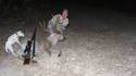Chien de chasse