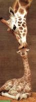 Photo de famille 