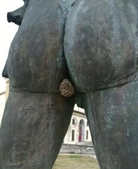 Avoir le cul qui colle 