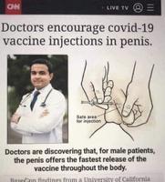 Des docteurs ont découvert que pour les hommes une vaccination dans le penis permet une diffusion plus rapide dans le corps.