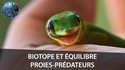 L'Auto-Promo à gerber 