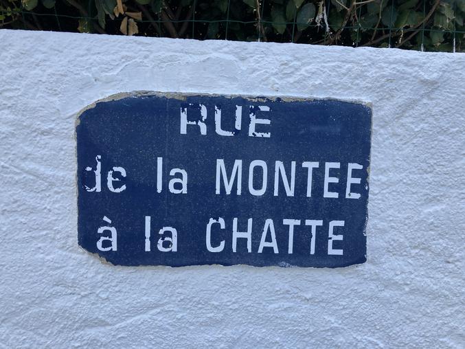 Et oui mes chers amis Lombriks, pour atteindre le 7ème ciel il faut commencer par une ascension.
Si certaines expressions ne font pas rêver comme "descendre à la cave", cet odonyme nous entraîne dans un élan ascensionnel prometteur !
Je vous laisse chercher où se situe cette jolie rue et pourquoi elle porte un tel nom (niveau: facile).