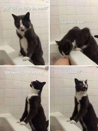 De l'eau ?