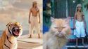Life Of Pi