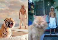 Life Of Pi