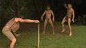 Wildboys