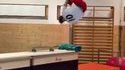 Parkour sympa