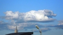 Une histoire de nuage