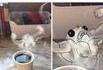 Un café fort SVP