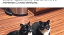 Mais qu’est-ce que?