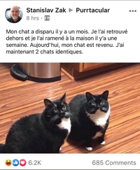 Mais qu’est-ce que?