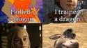 Dominer le dragon
