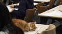 Les études