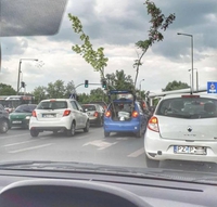 Transport d'arbre