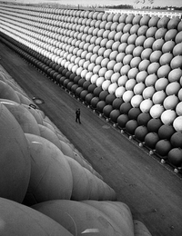 Le gardien des bouées