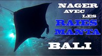 Nager  avec des raies manta