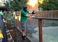 Quand on appâte au vif