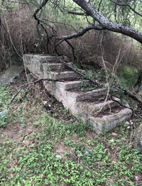 Un escalier dans les bois