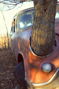 Voiture abandonnée...