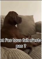 La mort de mufasa