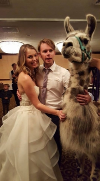La nuit de noces va être chaude