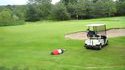 Planking au golf