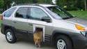 Porte pour chien
