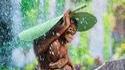 Phil_good in the rain