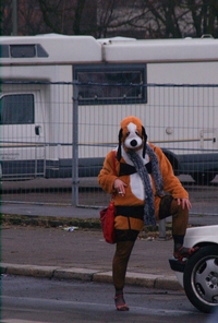 La prostitution pour tous les goûts